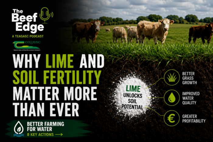 Why lime and soil fertility matter more than ever
