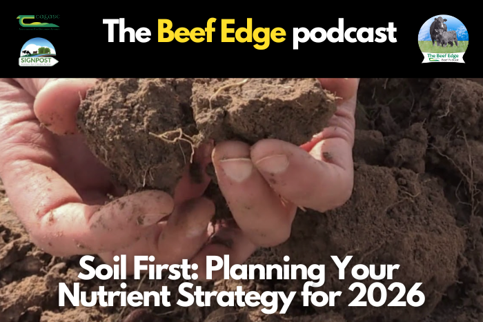 Soil First: Planning Your Nutrient Strategy for 2026