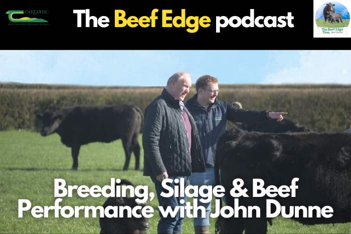 Breeding, silage and beef performance with Future Beef farmer John Dunne
