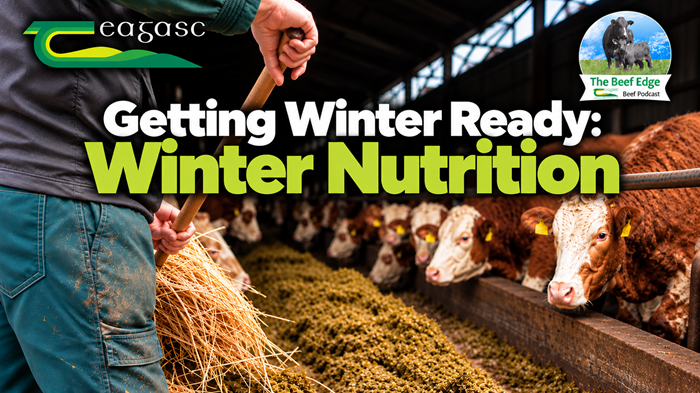Getting winter ready: Winter nutrition