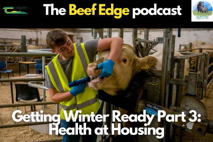 Getting Winter Ready Part 3: Health at Housing