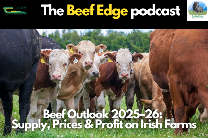 Beef Outlook 2025–2026: Supply, Prices & Profit on Irish Farms