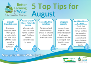 Five Practical Steps to Improve Water Quality on Your Farm in August - details in text