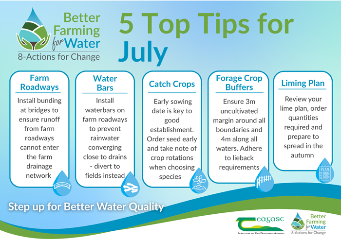 Graphic outlining Better Farming or Water top tips for July: 
1). Farm roadways: Install bunding at bridges to ensure runoff from farm roadways cannot enter the farm drainage network.
2. Water bars: Install waterbars on farm roadways to prevent rainwater converging close to drains - divert to fields instead.
Catch crops: Early sowing date is key to good establishment. Order seed early and take note of crop rotations when choosing species.
4. Forage crop buffers: Ensure 3m uncultivated margin around all boundaries and 4m along all waters, Adhere to lieback requirements. 
5. Liming plan: Review your liming plan, order quantities required to prepared to spread in the autumn 