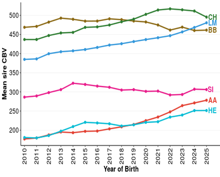 A graph showing the trends in CBV values of sires of Charolais, Limousin, Belgian Blue, Simmental, Angus and Hereford. From the baseline of 2010, sire CBV values across all breeds has increased. CH, LM, and BB have higher CBV values with CH peaking around 2021, while AA and HE show steady increases, and SI remains relatively stable.