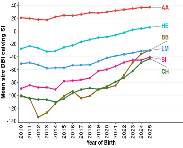 Line graph showing mean sire DBI calving SI trends from 2010 to 2025 for six breeds: AA (red), HE (light blue), BB (brown), LM (dark blue), SI (pink), and CH (green). The graph highlights AA consistently highest around 40, while BB and CH show significant improvement from below -120 to near -40 by 2025.