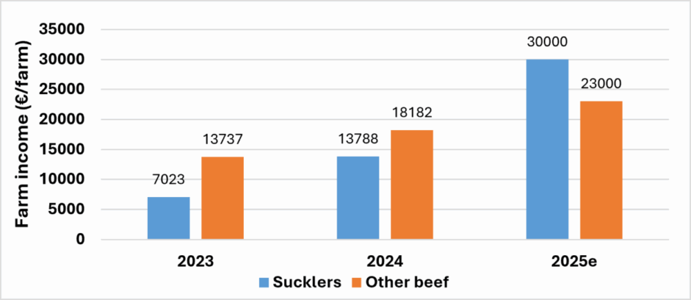 A bar chart sourced from the Teagasc REDP showing farming incomes on suckler and other beef farms in 2023, 2024 and 2025 2023: suckler €7,023 and other €13,737 2024: suckler €13,788 and other €18,182. 2025 estimated: suckler €30,000 and other €23,000