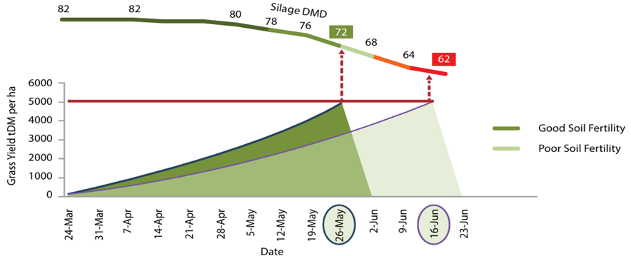 Line graph showing grass yield dry matter (DM) per hectare over time from 24 March to 23 June, comparing good and poor soil fertility. Good soil fertility yields higher grass DM, peaking near 6000 kg/ha in early June, while poor soil fertility peaks lower; silage dry matter digestibility (DMD) declines from 82 to 62, with key dates 26 May and 16 June