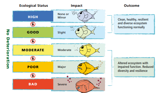 Diagram illustrating ecological status categories from high to bad, showing corresponding impact levels and outcomes on aquatic ecosystems. Colour-coded bars (blue, green, yellow, orange, red) feature fish icons with increasing distress signs, highlighting transition from clean, resilient ecosystems to severely impaired, less diverse environments.
