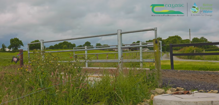 ‘Keeping cows out of the river is a brilliant job’