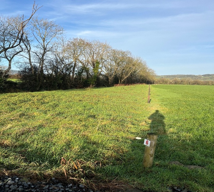 A buffer zone alongside a water course at Kildalton College