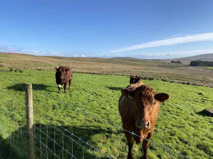 Major upland open day planned at Glenwherry