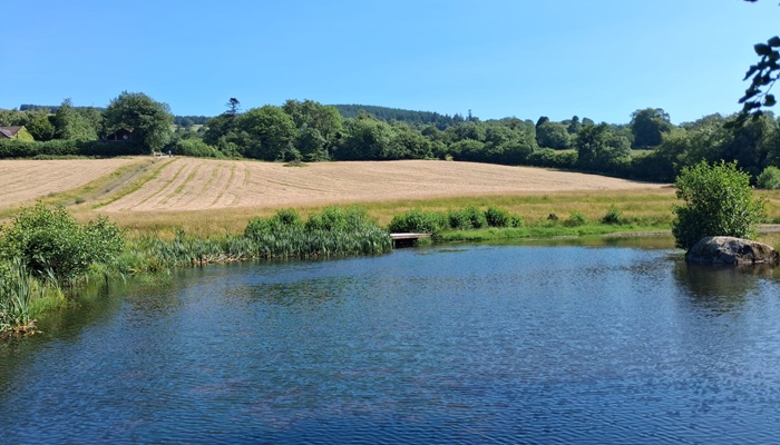 One of the Carberry’s three biodiversity-friendly ponds, this pond was established 15 years ago. Photographed by Claudia Barry