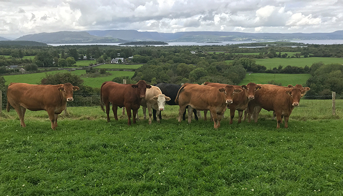 Should you be making any changes to your farm enterprise in 2026?