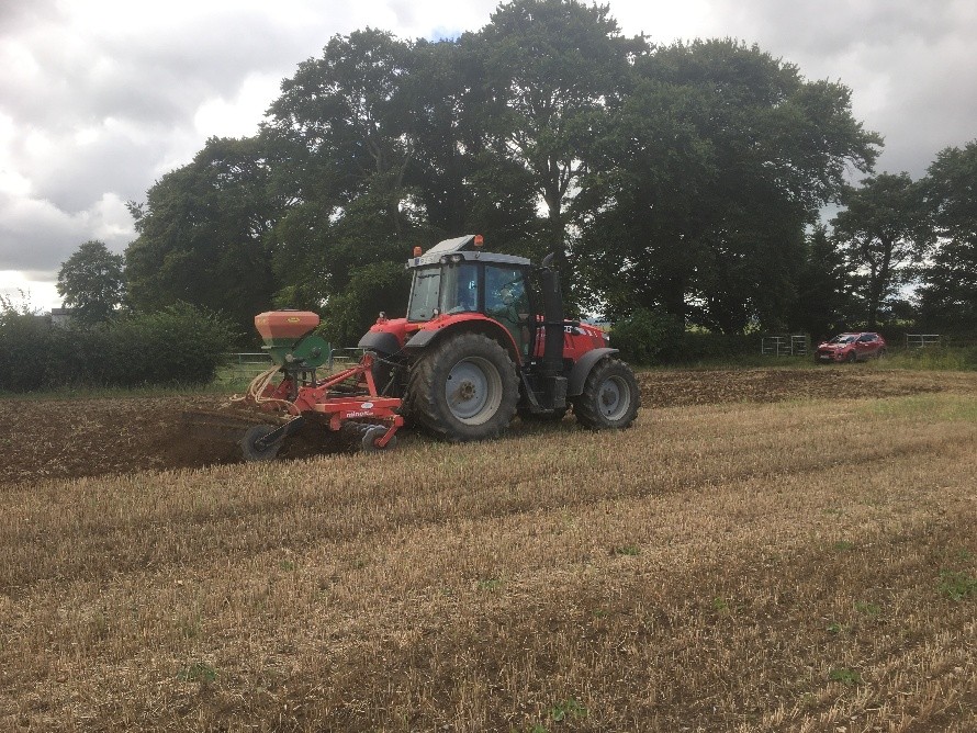 A tractor fitted with a disc harrow and air seeder establishing catch crops