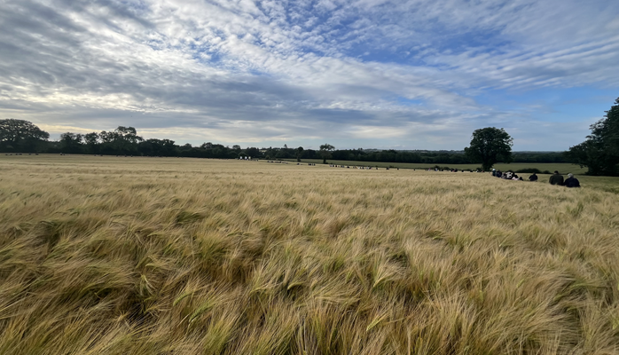 A Somers’ evening to remember