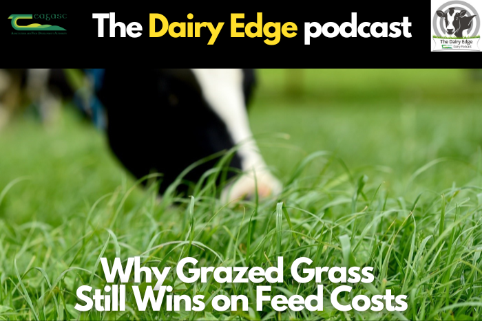 Why grazed grass still wins on feed costs