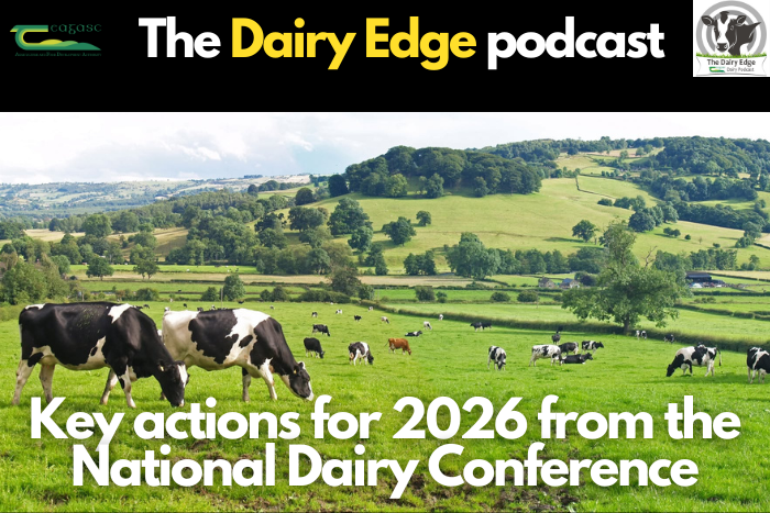 Cover image for Key actions for 2026 from the National Dairy Conference article