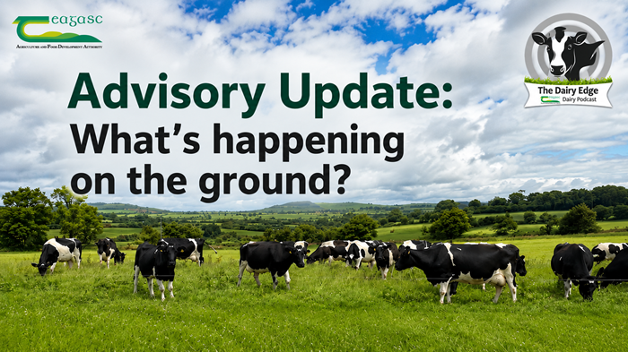 Cover image for Advisory update: What’s happening on the ground? article