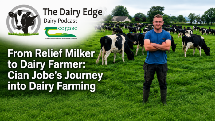 From relief milker to dairy farmer: Cian Jobe’s journey into dairy farming