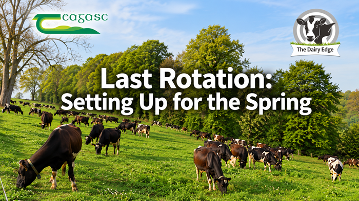 Last rotation: Setting up for the spring