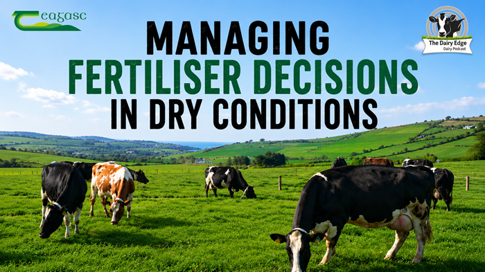Cover image for Managing fertiliser decisions in dry conditions article