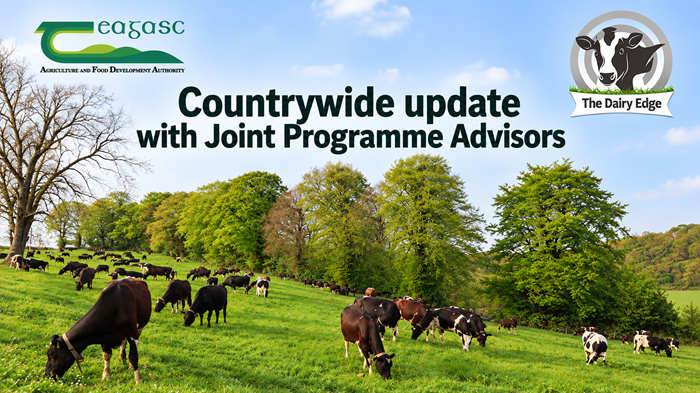Cover image for Countrywide update with Joint Programme Advisors article