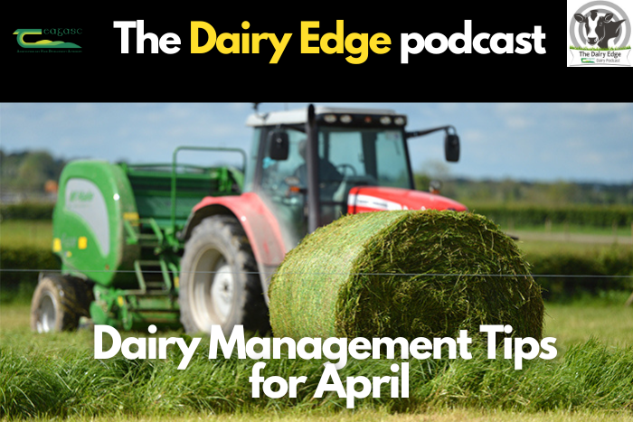 Dairy management tips for April