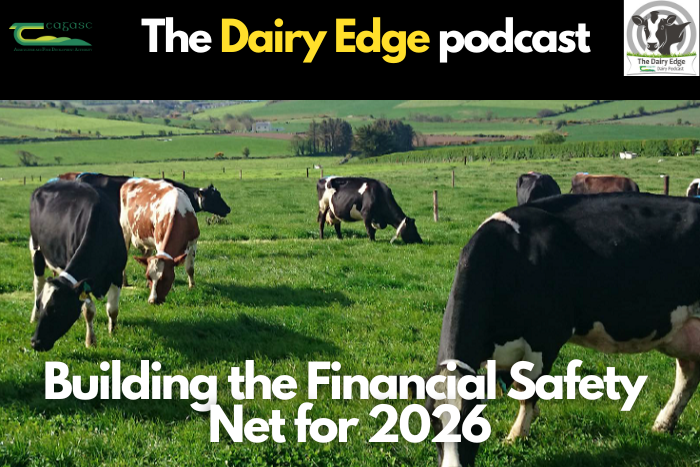 €500 per cow: Building the financial safety net for 2026
