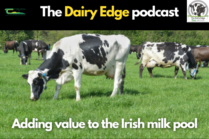 Adding value to the Irish milk pool with Conor Mulvihill, Dairy Industry Ireland