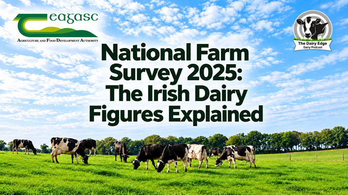 Irish dairy webinar explores farm profitability gains