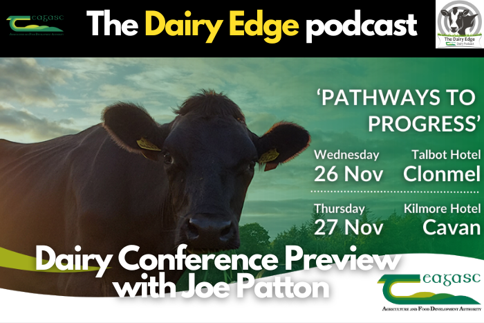 Cover image for Dairy Edge: Dairy Conference Preview with Dr. Joe Patton article