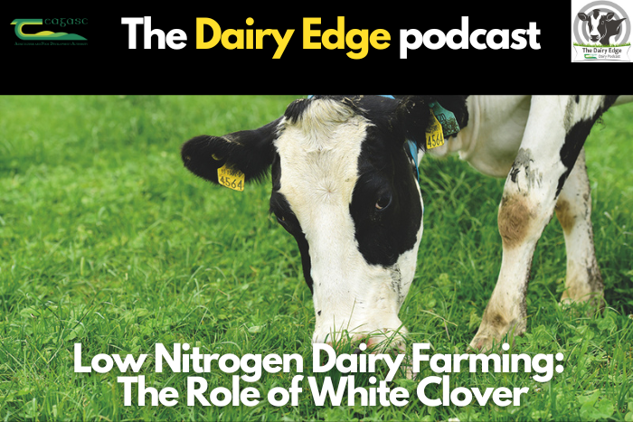 Cover image for Low nitrogen dairy farming: The role of white clover article