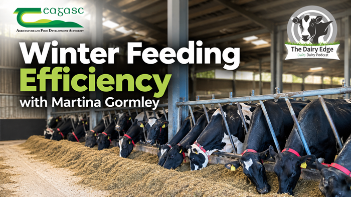 Winter feeding efficiency with Martina Gormley
