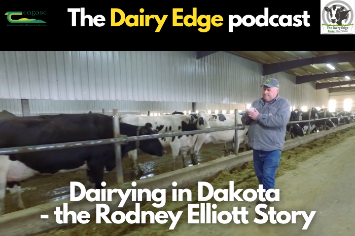 Dairying in Dakota – the Rodney Elliott Story