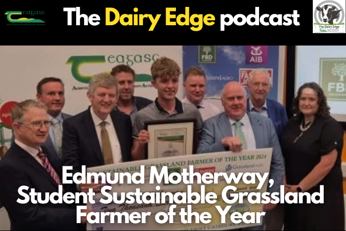 How a transition year placement shaped Edmund Motherway’s route into dairy