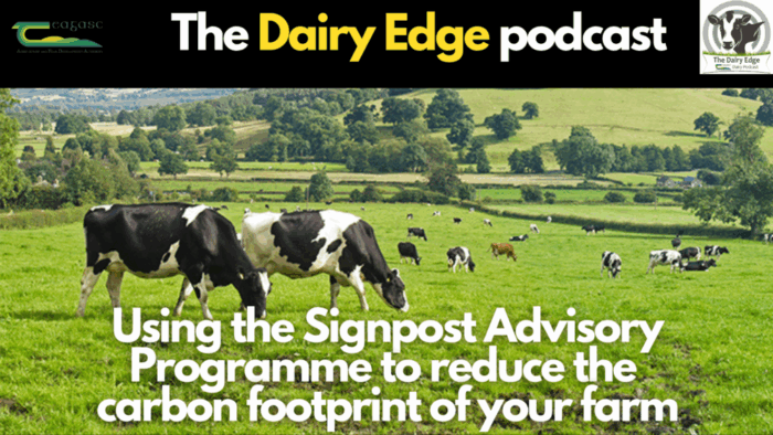 Cover image for Using the Signpost Advisory Programme to reduce the carbon footprint of your farm article