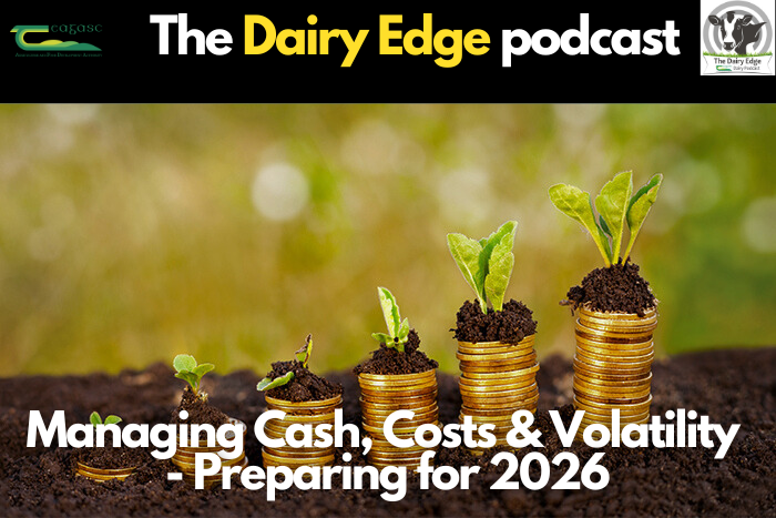 Managing cash, costs and volatility – preparing for 2026