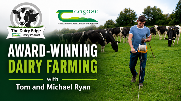 Award-winning dairy farming with Tom and Michael Ryan