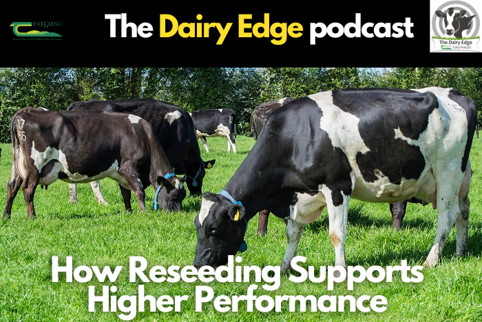How reseeding supports higher performance