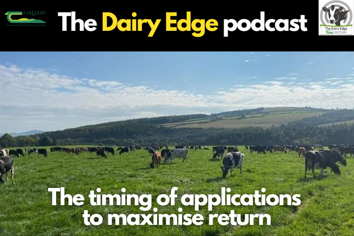 The timing of applications to maximise return