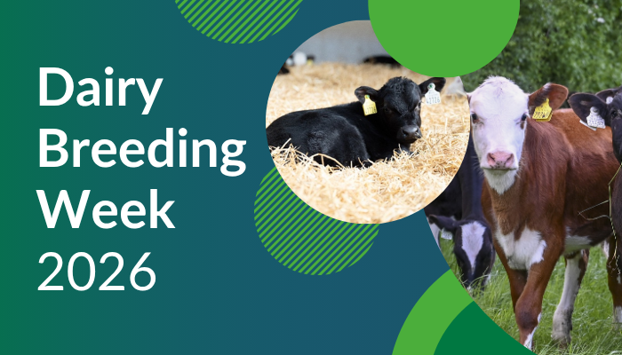 Dairy Breeding Week 2026