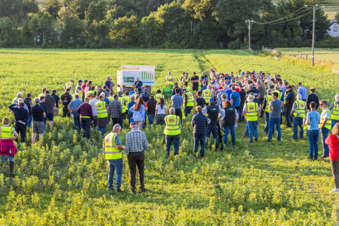 Farmers standing in a field of intercropped pea and beans listening to Ciaran Collins, Teagasc Tillage Specialist. Intercropping is a tool for sustainable farming