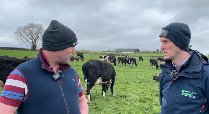 Identifying problem cows early: David Hally’s approach