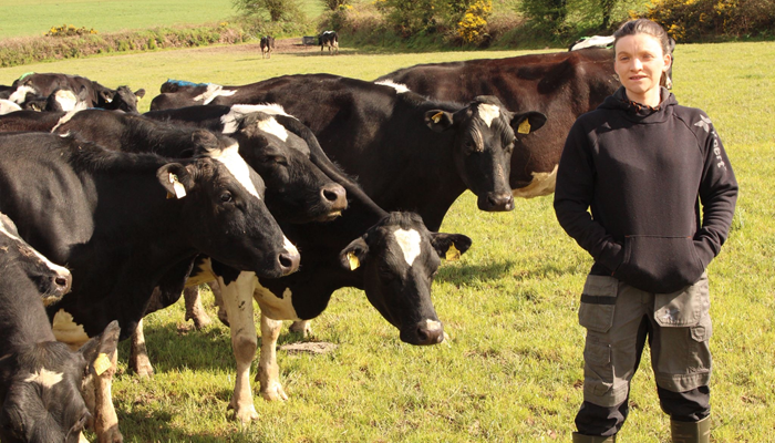 Compact calving and grassland management driving profitability in West Cork