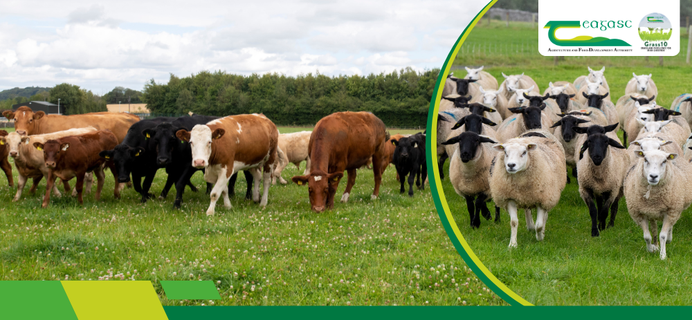 Drystock Early Spring Grass Workshops