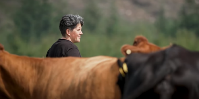 Diversification to the fore in Co. Cork