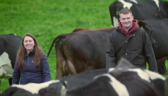 Building a dairy farming career through a partnership model