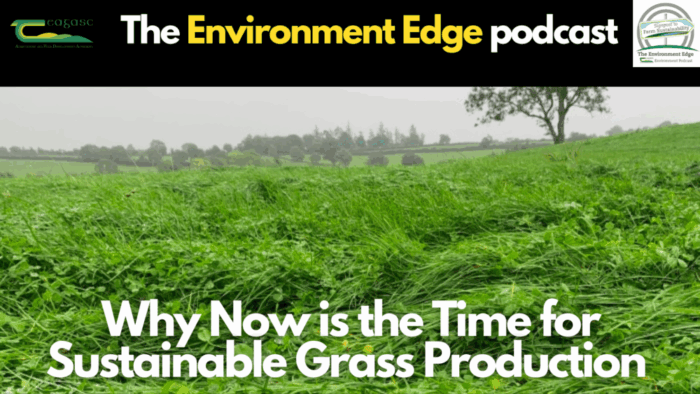 Why now is the time for sustainable grass production