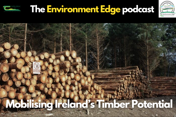 Navigating the Teagasc Forestry Roadmap: Mobilising Ireland’s Timber Potential
